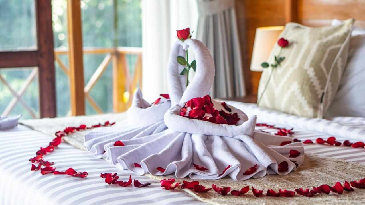 Anja Villas Ubud Tegallalang  Exteriör bild