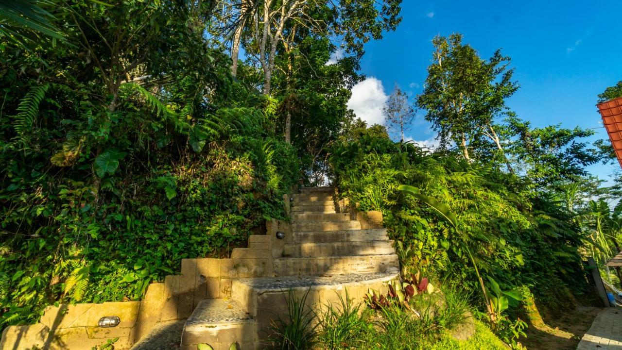 Anja Villas Ubud Tegallalang  Exteriör bild